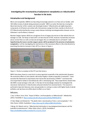 Research proposal: investigating the neurotoxicity of polystyrene nanoplastics on mitochondrial function in the brain
