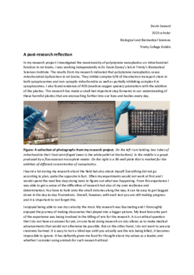 Blog 1: A post-research reflection