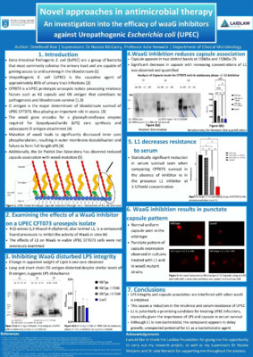 Summer 1 Research Poster - 'Novel approaches in antimicrobial therapy: An investigation into the efficacy of WaaG inhibitors against Uropathogenic Escherichia Coli (UPEC)' 