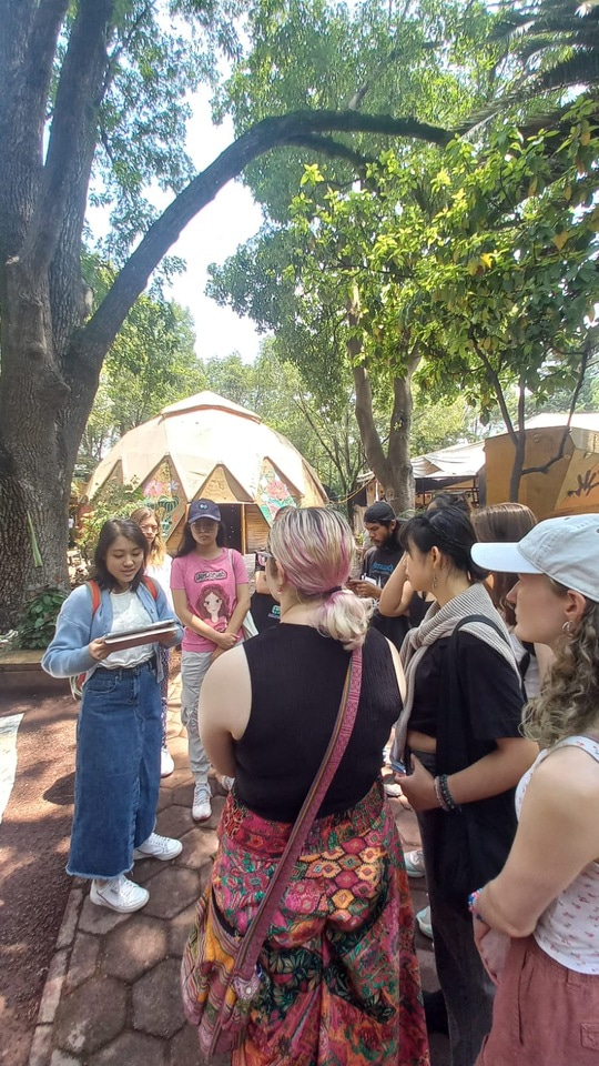 LiA project Week6 in Make Sense Mexico