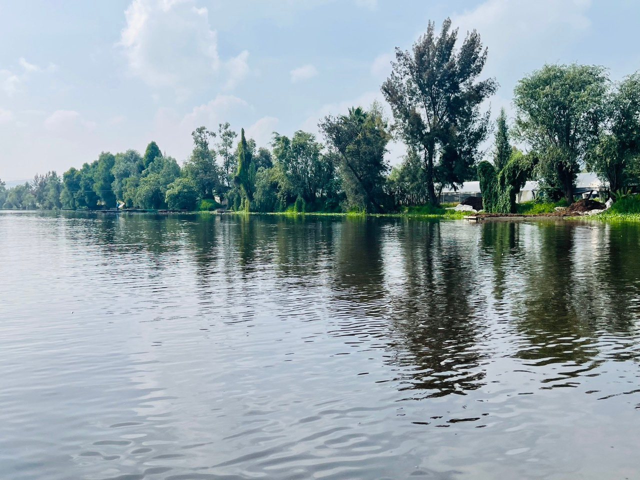 LiA project Week4 in Make Sense Mexico