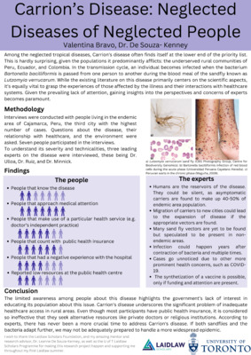 Summer 1: research poster