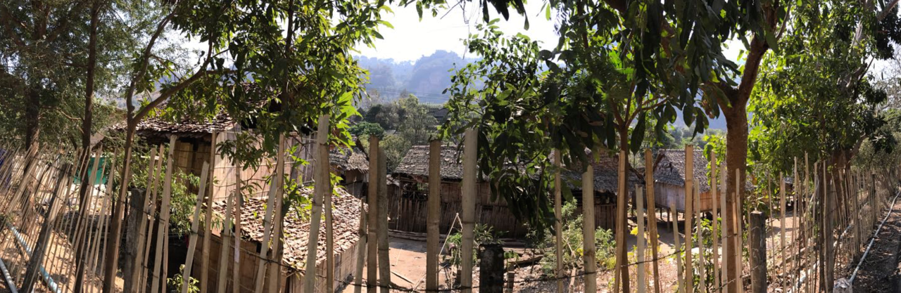 What vaccines can tell us about bacterial ecology