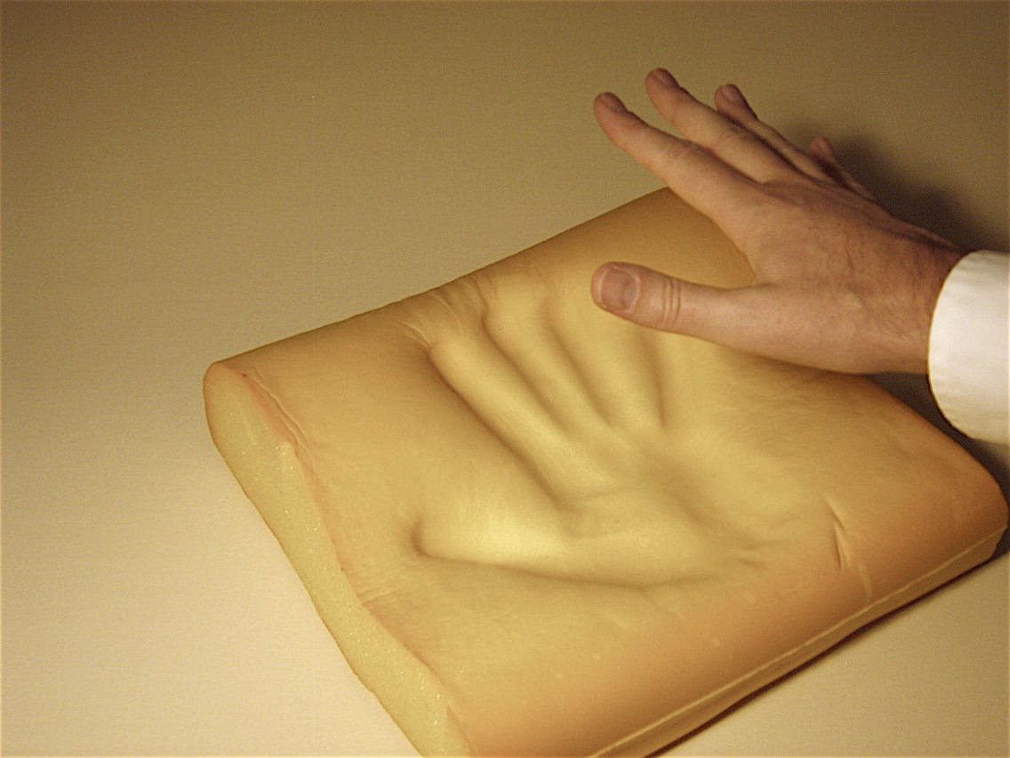 Entropy drives the pace of molecular evolution