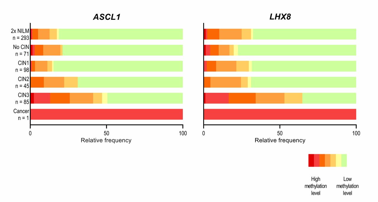 Evaluation of DNA methylation biomarkers ASCL1 and LHX8 on HPV-positive self-collected samples from primary HPV-based screening 