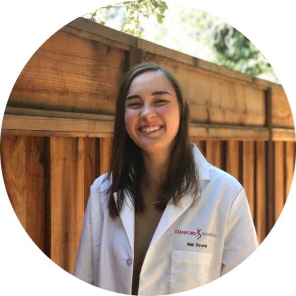 Go to the profile of Mai Dvorak