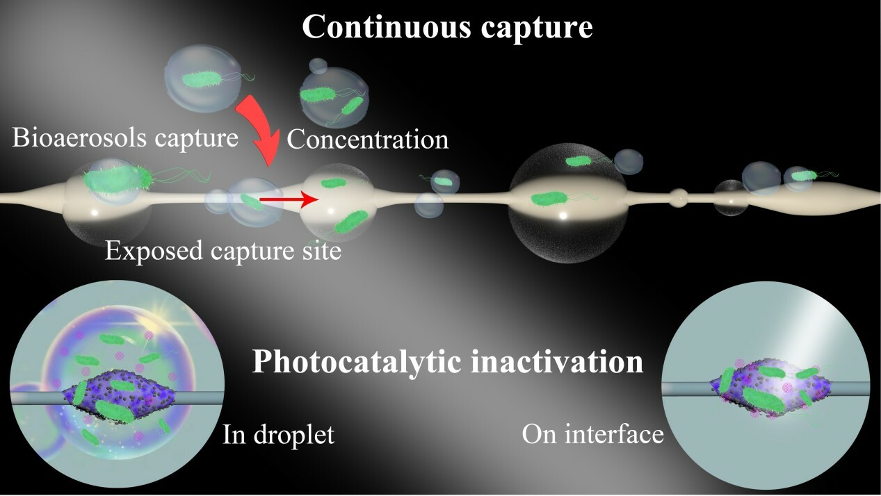 Bioinspired artificial spider silk photocatalyst for the high-efficiency capture and inactivation of bacteria aerosols