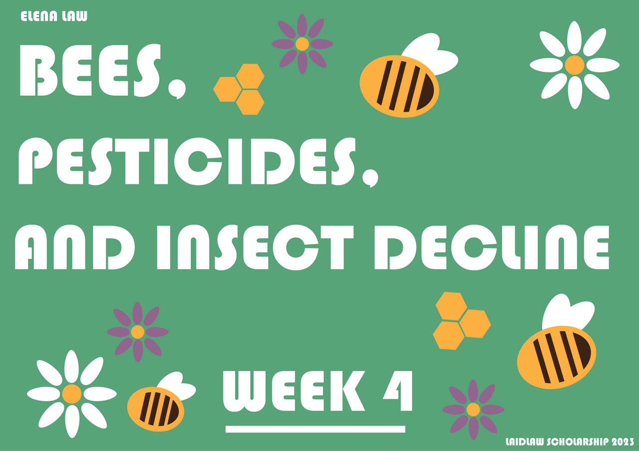 Week 4: What is Research??