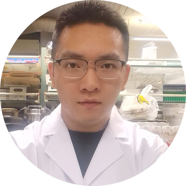 Go to the profile of Liang Ren