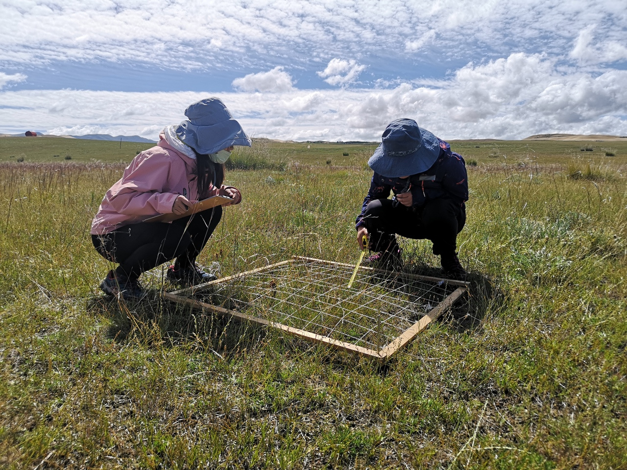 Driving factors of stability of terrestrial ecosystems on the Tibetan plateau