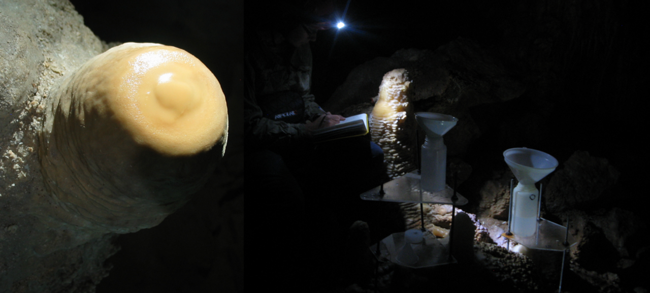 Caves provide early warning of unprecedented decrease in rainfall recharge of groundwater