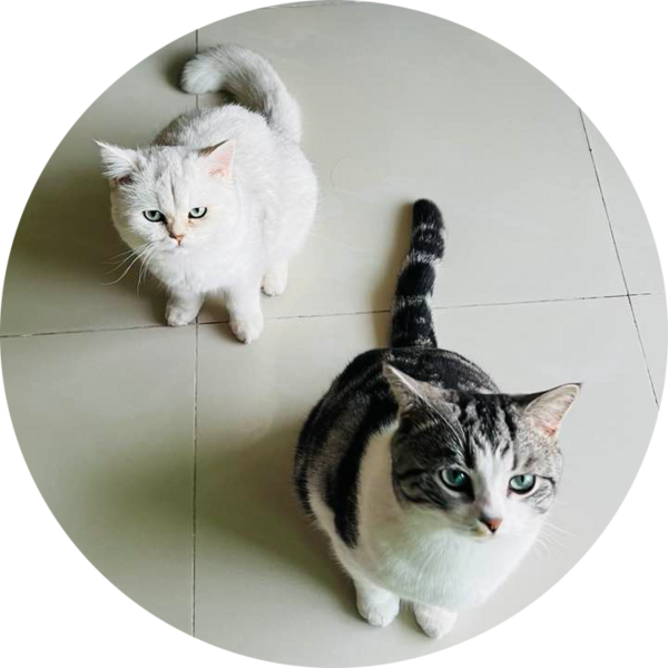 Go to the profile of Zhaofeng YE