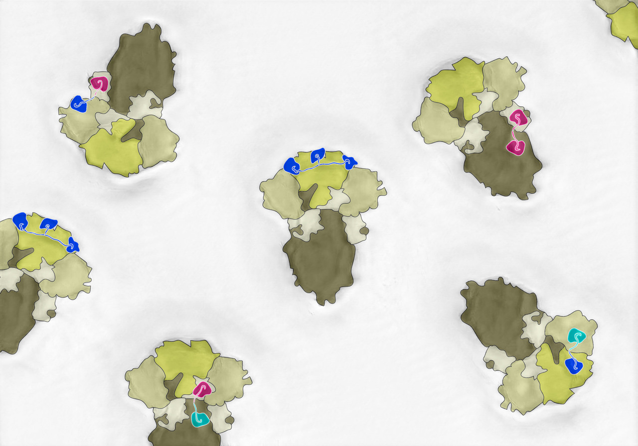 Fighting Viruses with Bicycles