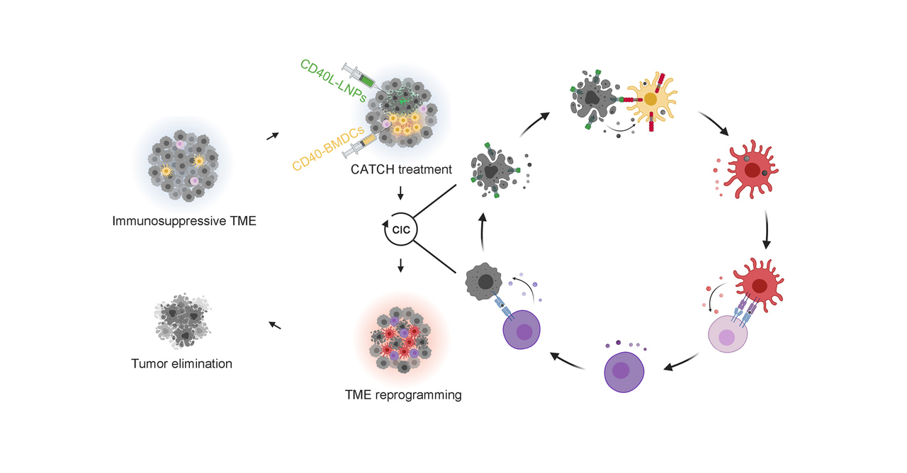 Close the Cancer-Immunity Cycle by integrating lipid nanoparticle-mRNA formulations and dendritic cell therapy