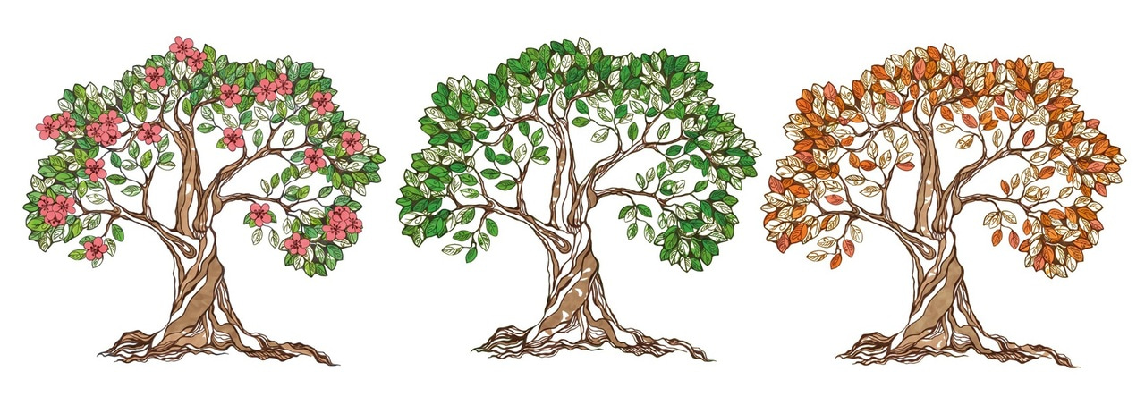 Unraveling the Mysteries of “Continuous increase in evaporative demand shortened the growing season of European ecosystems in the last decade”: A Journey into the Unknown