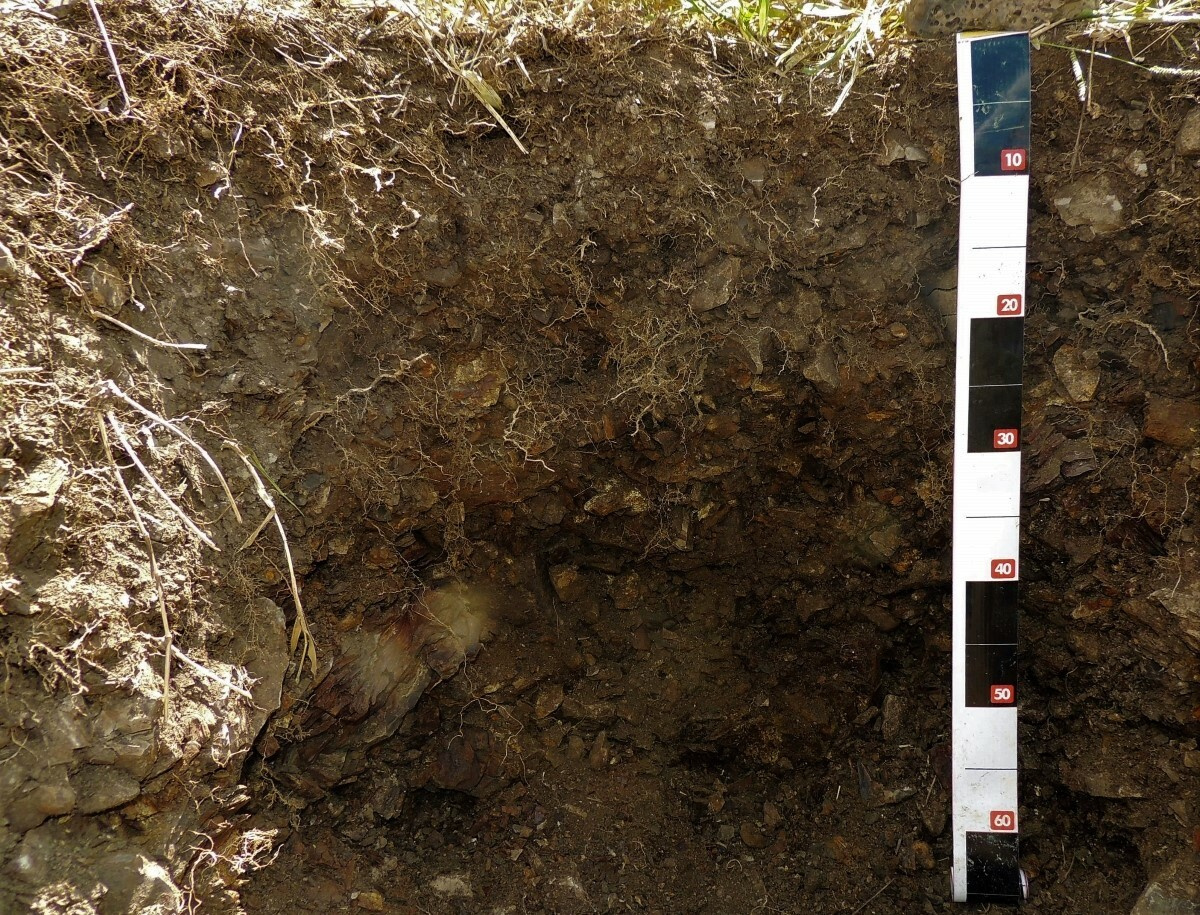 Unlocking the Potential: Waste-Based Soil Reconstruction to Tackle Carbon Dioxide Emissions in Mining