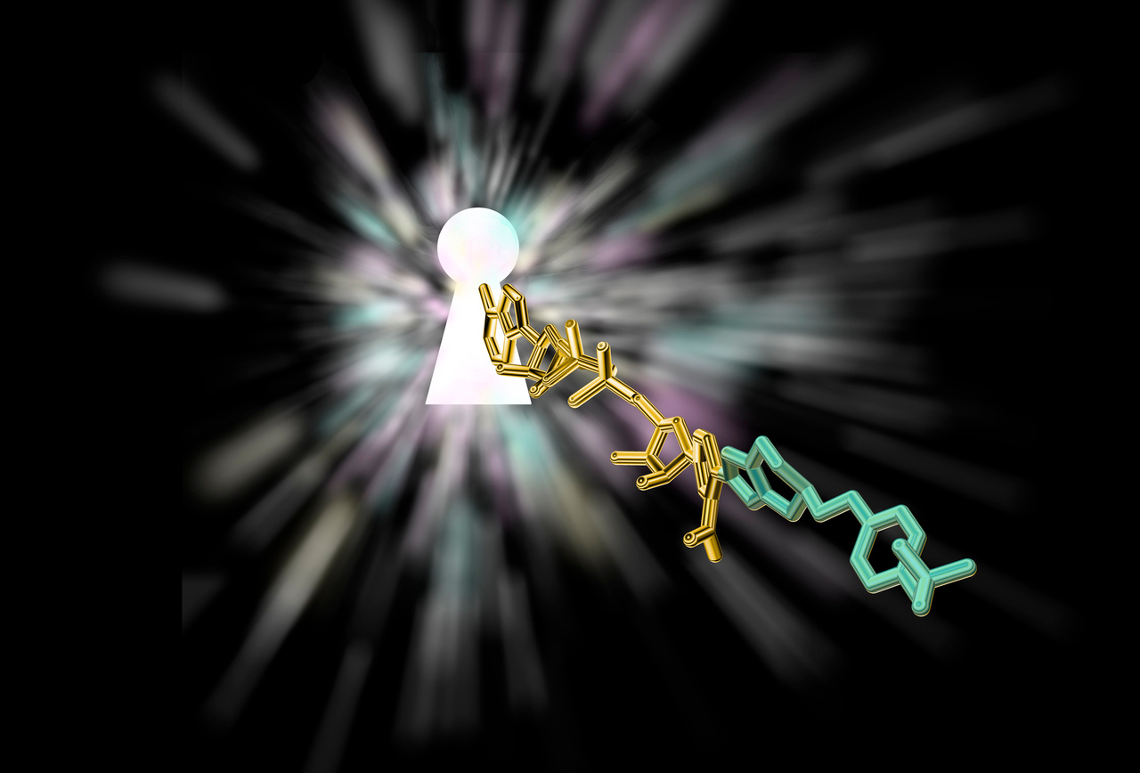 The key to understanding how an antibiotic works 