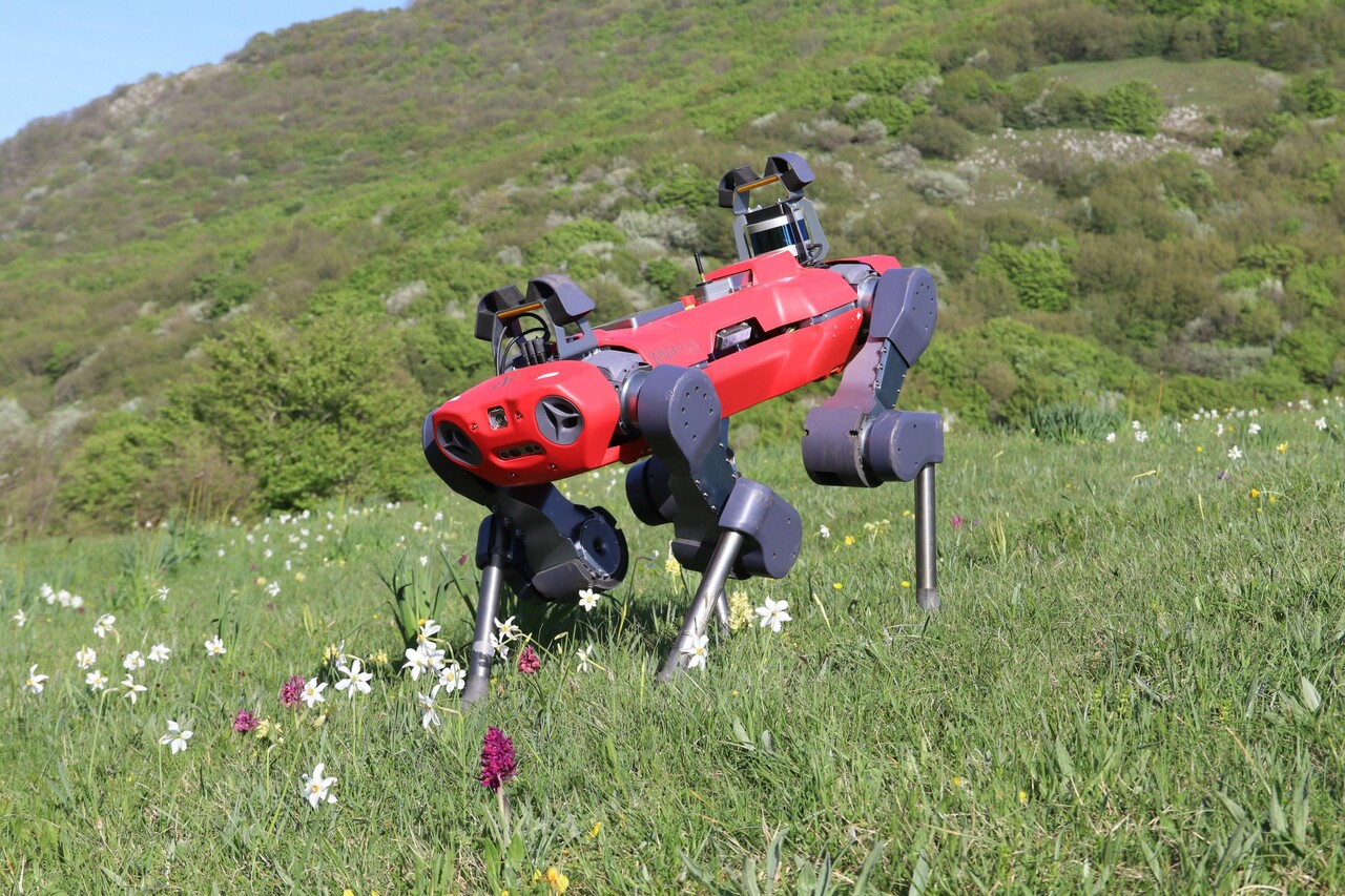 Robotic monitoring of grasslands: a dataset from the EU Natura2000 habitat 6210* in the central Apennines (Italy)