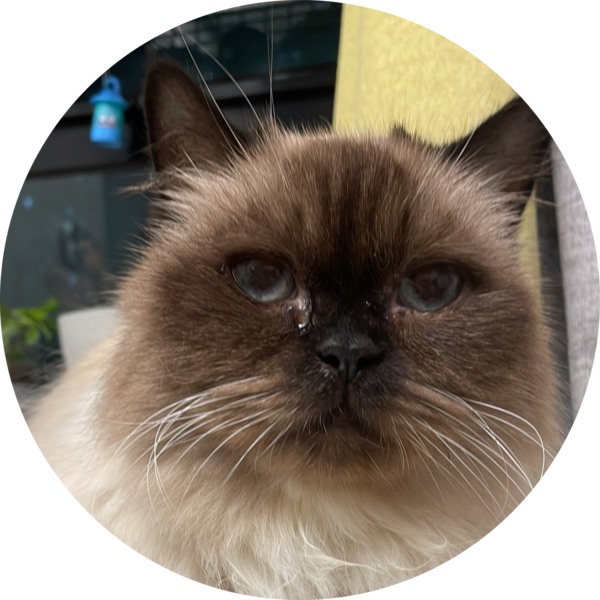 Go to the profile of Oi Ling Cheung