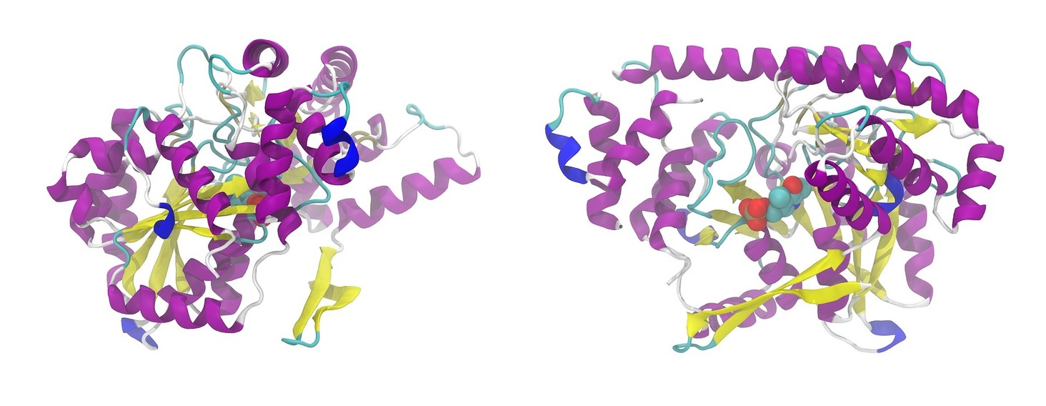 Journal Club | Metagenomic Protein Folding Patterns