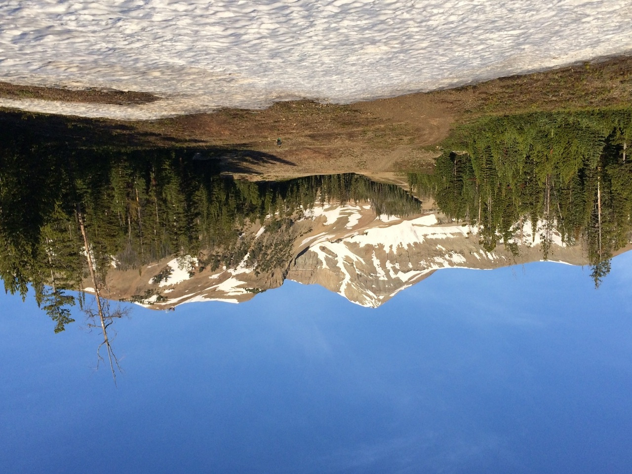 CRISPR 2017 Conference