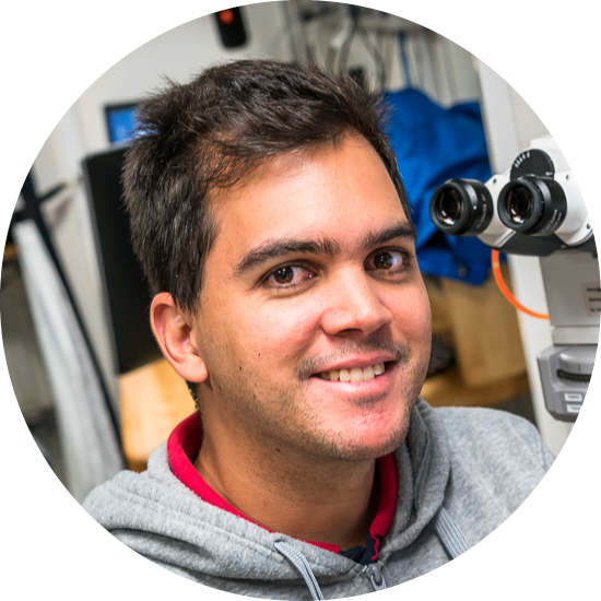 Go to the profile of Marcelo A. De Lira Mota