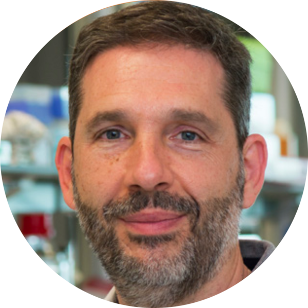 Go to the profile of Josep Villanueva