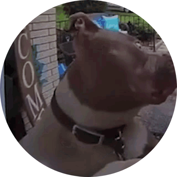 Go to the profile of Cole Julian