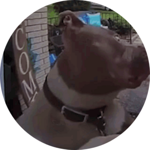 Go to the profile of Cole Julian