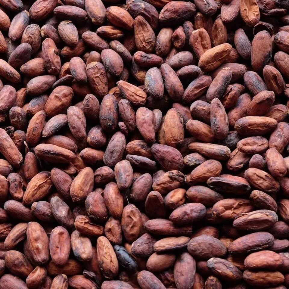 Deconstructing the Bean: Unveiling the Landscape of Cocoa Research in Africa and Shaping its Future