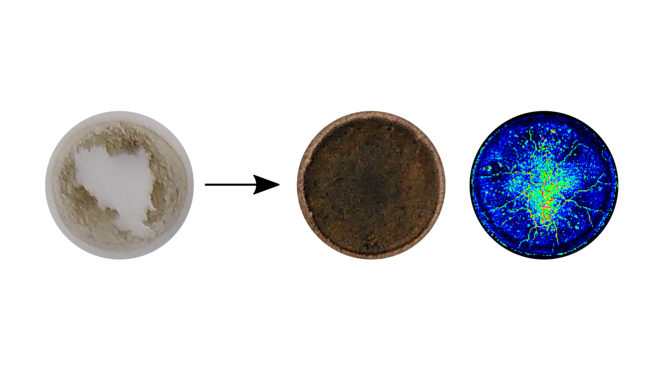 An all-in-one methodology for the analysis of heavy metals and persistent organic pollutants in biosolids