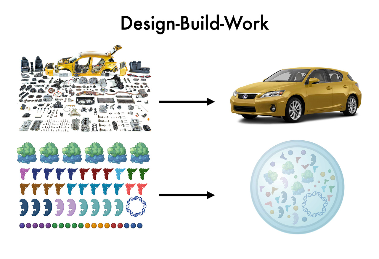 Designing synthetic cellular systems that just work