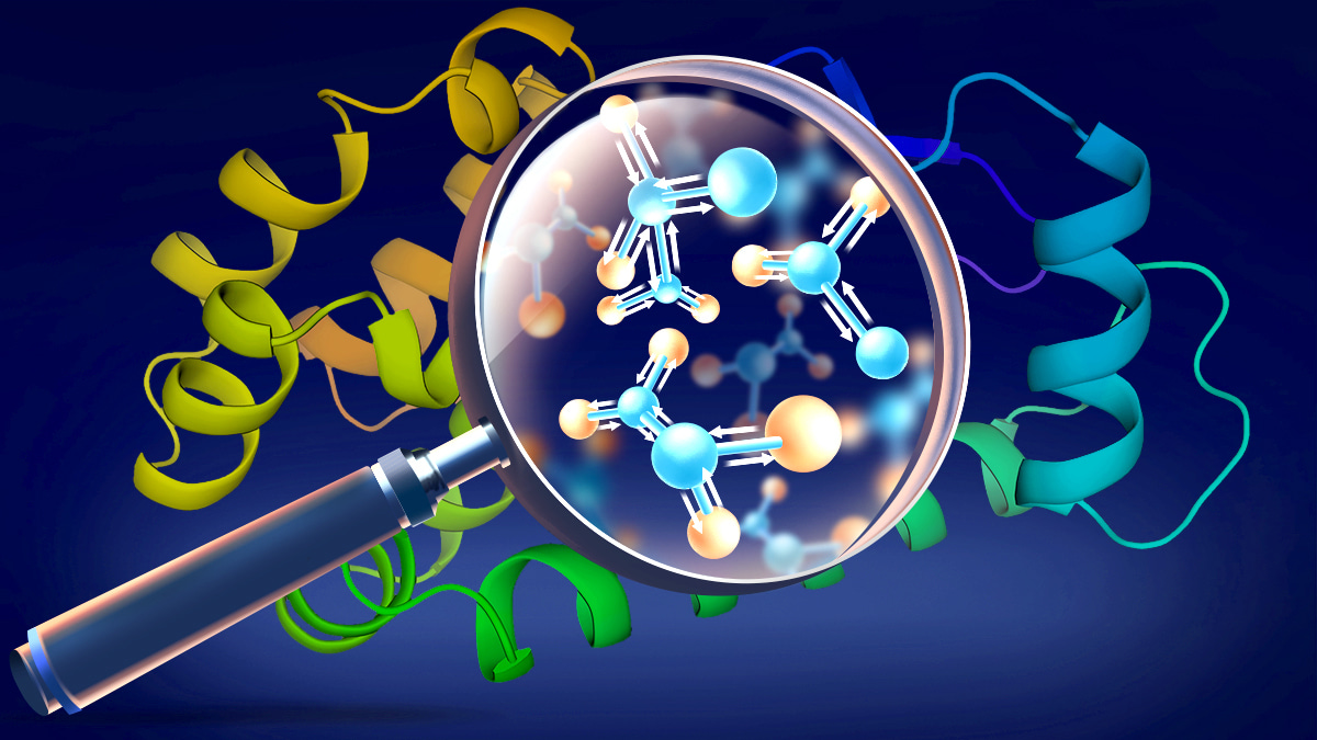 ViSNet: The universal molecular geometry modeling framework