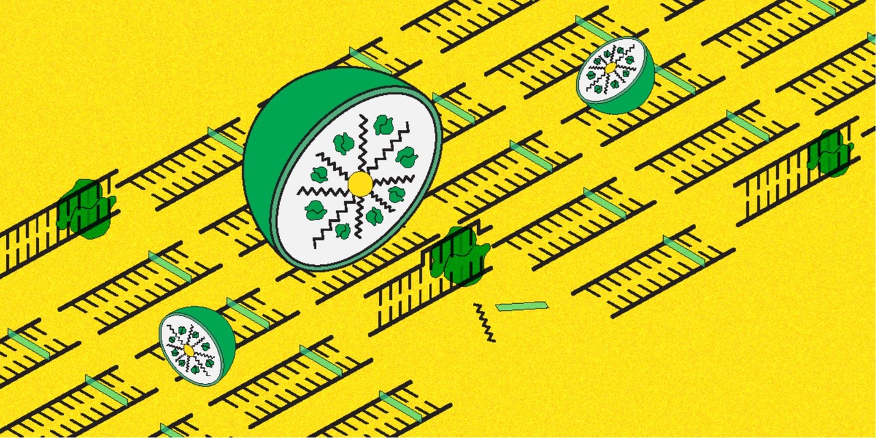Cas9 delivery with polymer nanoparticles