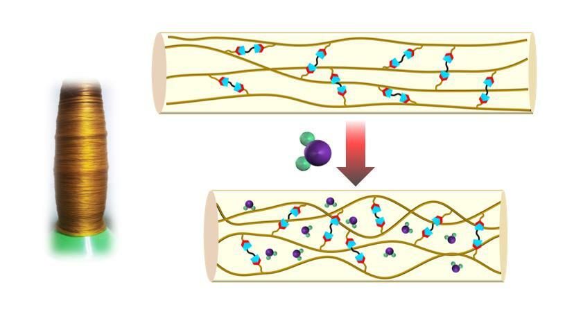 Dynamic imine chemistry directed strong protein fibers with self-recoverable mechanical performance