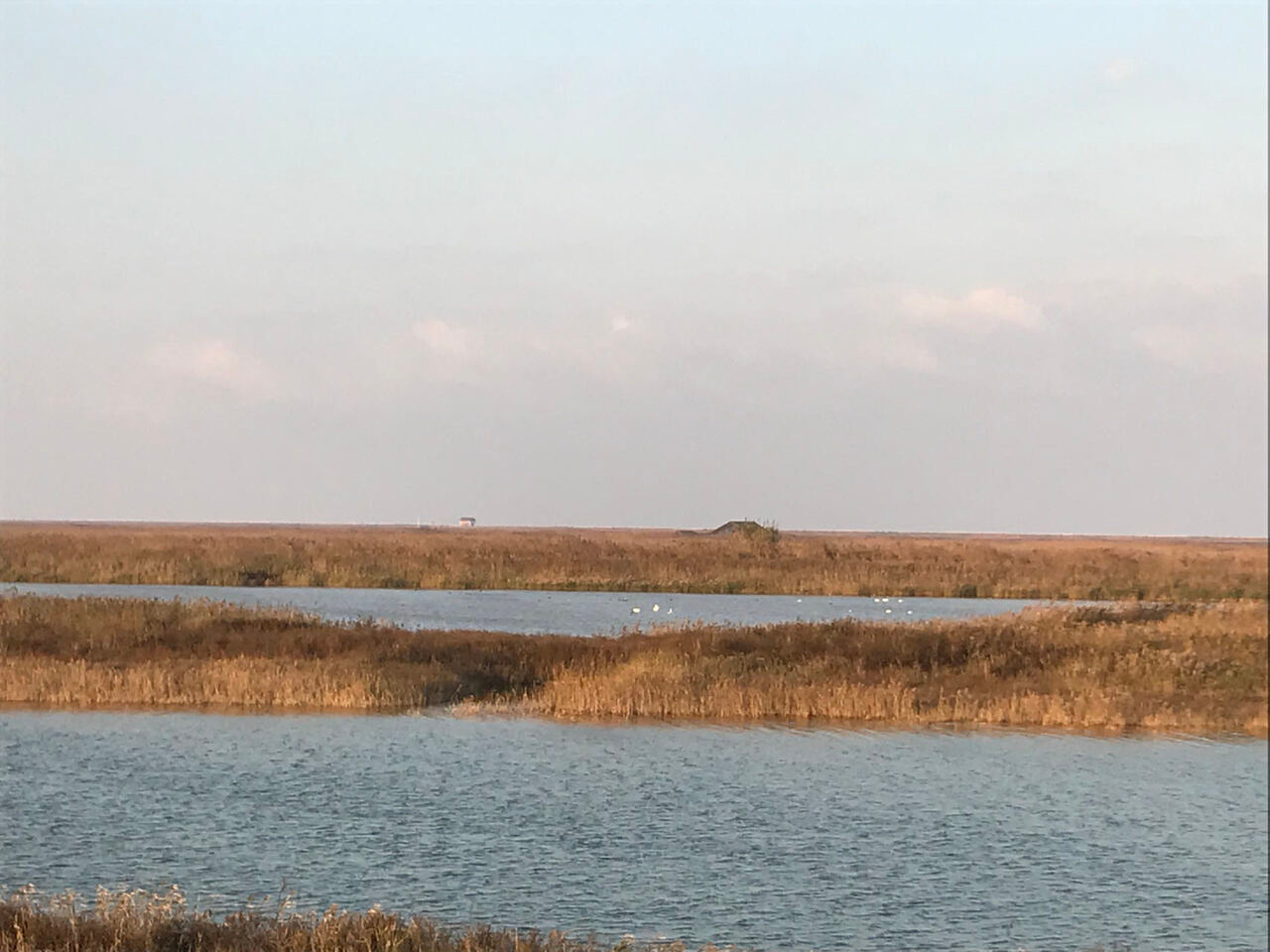 Changes in source contributions to carbonaceous aerosols in a changing world: Evidence from East China