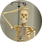 Go to the profile of Steven Fackenthall