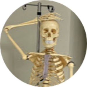 Go to the profile of Steven Fackenthall