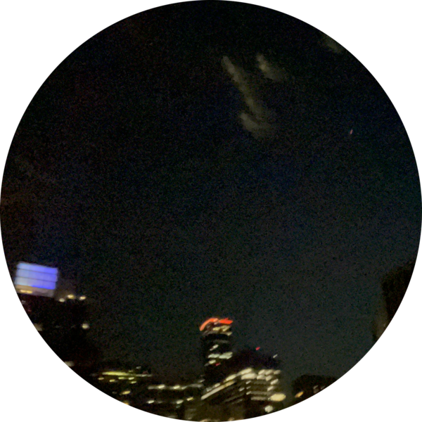 Go to the profile of Ace Wilson