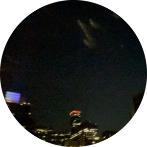 Go to the profile of Ace Wilson