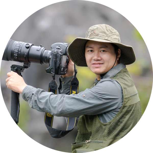 Go to the profile of Truong Van Nguyen