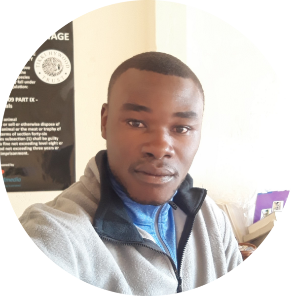 Go to the profile of Tafadzwa Tichagwa