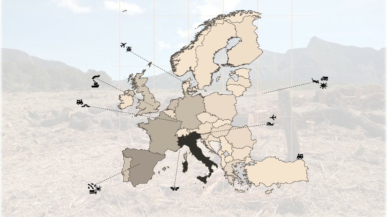 Uninvited guest pests sneaking their way into the European Union