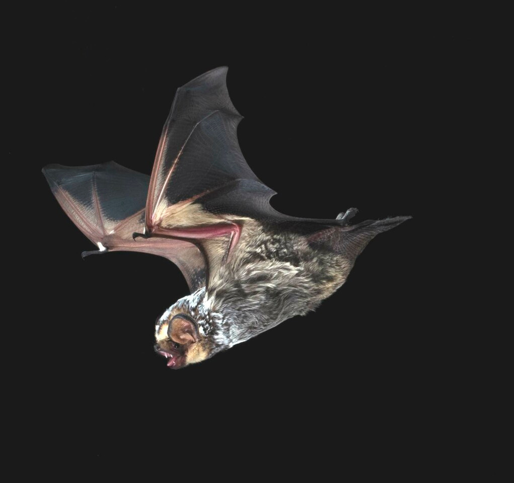 Hi, my name is Alannah