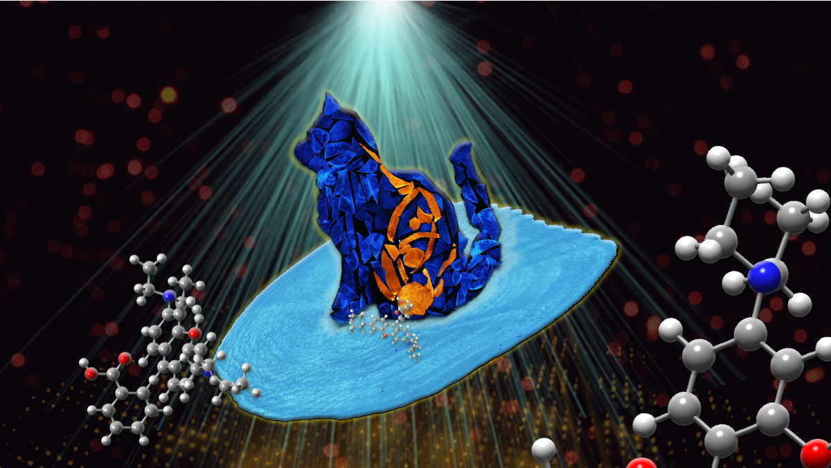 One Fish, Two Fish, Bright Fish, Clean Fish!