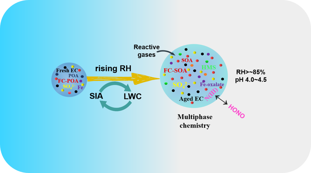 Primary emissions from fossil fuel combustion drive aqueous-phase formation of secondary aerosols 