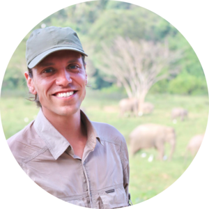 Go to the profile of Ave Owen