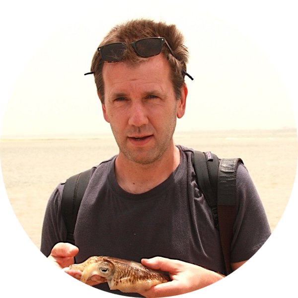 Go to the profile of Mic Mayhew