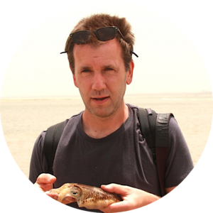 Go to the profile of Mic Mayhew