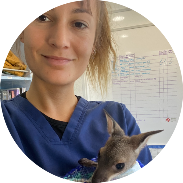 Go to the profile of HELEN CAHILL